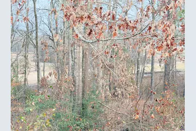 Lot 10 Oak Drive, Hawkinsville, GA 31028 - Photo 8