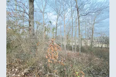 Lot 10 Oak Drive, Hawkinsville, GA 31028 - Photo 6