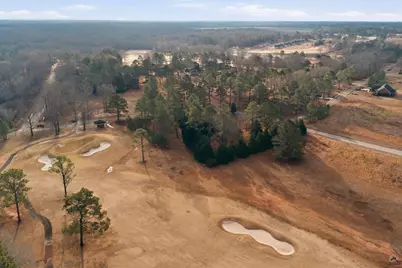 0 Crabapple Drive, Hawkinsville, GA 31036 - Photo 6