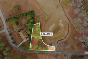 0 Crabapple Dr, Hawkinsville, GA 31036 - Photo 1