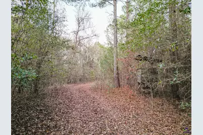 9036 Bullard Road, Dry Branch, GA 31020 - Photo 68