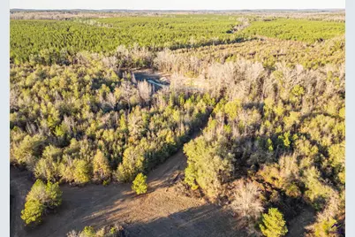 9036 Bullard Road, Dry Branch, GA 31020 - Photo 62