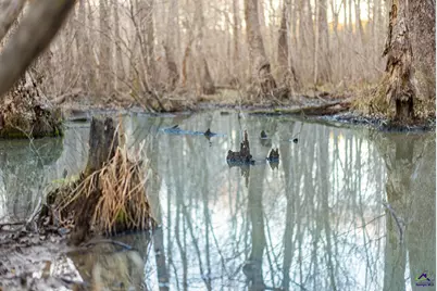 9036 Bullard Road, Dry Branch, GA 31020 - Photo 50