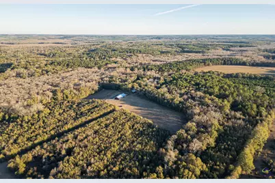 9036 Bullard Road, Dry Branch, GA 31020 - Photo 34