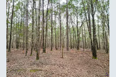 9036 Bullard Road, Dry Branch, GA 31020 - Photo 44