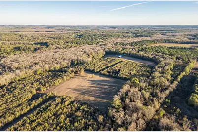 9036 Bullard Road, Dry Branch, GA 31020 - Photo 40