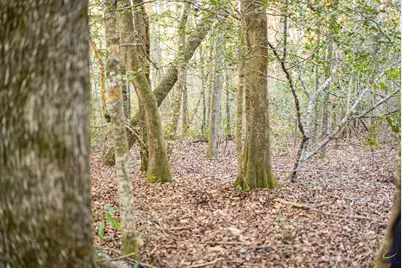 9036 Bullard Road, Dry Branch, GA 31020 - Photo 54