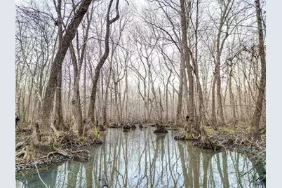 9036 Bullard Road, Dry Branch, GA 31020 - Photo 46