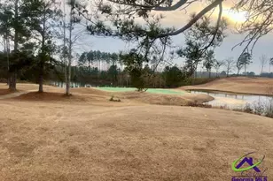 204 Trellis Walk, Macon, GA 31220 - Photo 4