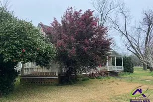 219 E Main St, Bronwood, GA 39826 - Photo 38