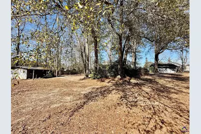 302 Anderson Street, Ideal, GA 31041 - Photo 34