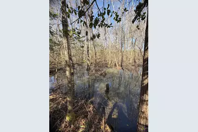 0 Hwy 19, Dublin, GA 31021 - Photo 6