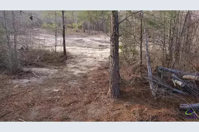 0 Hwy 19, Dublin, GA 31021 - Photo 1