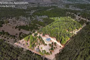 115 Watermelon Ln, Mauk, GA 31058 - Photo 52