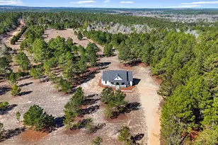 115 Watermelon Ln, Mauk, GA 31058 - Photo 56