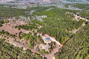 115 Watermelon Ln, Mauk, GA 31058 - Photo 54