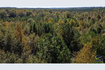 159 High Hill Street, Irwinton, GA 31042 - Photo 6