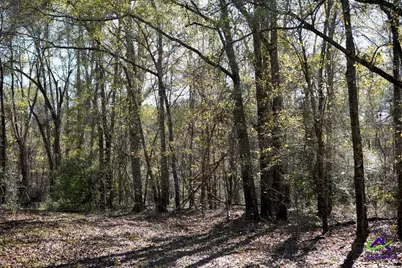 Highway 57, Gordon, GA 31054 - Photo 10