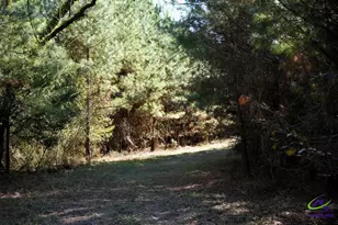 Hwy 57, Gordon, GA 31054 - Photo 1