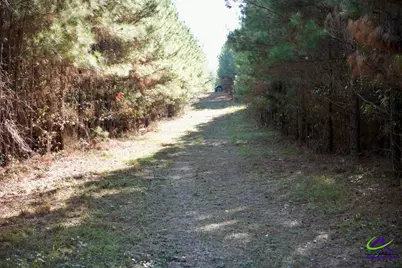 Highway 57, Gordon, GA 31054 - Photo 2