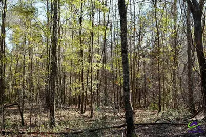 Highway 57, Gordon, GA 31054 - Photo 16