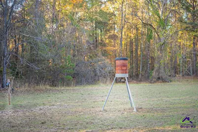 Highway 57, Gordon, GA 31054 - Photo 48