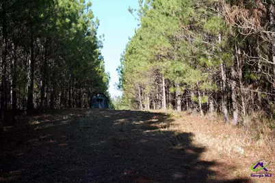 Highway 57, Gordon, GA 31054 - Photo 22