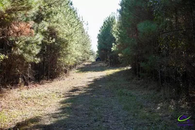 Highway 57, Gordon, GA 31054 - Photo 4