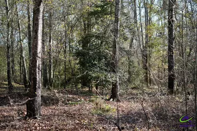 Highway 57, Gordon, GA 31054 - Photo 14