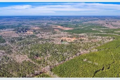 407 Jr Sims Road, Irwinton, GA 31042 - Photo 78