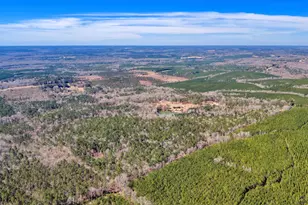 407 J R Sims Rd, Irwinton, GA 31042 - Photo 78