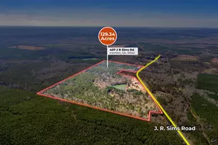 407 J R Sims Rd, Irwinton, GA 31042 - Photo 74