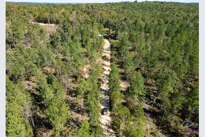 Ohp Dominy Road, Toomsboro, GA 31090 - Photo 20