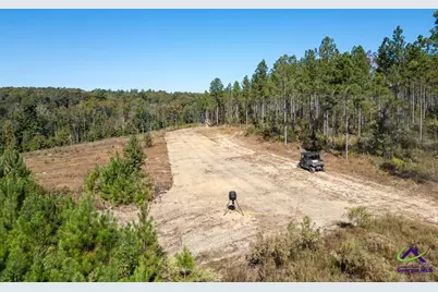Ohp Dominy Road, Toomsboro, GA 31090 - Photo 10