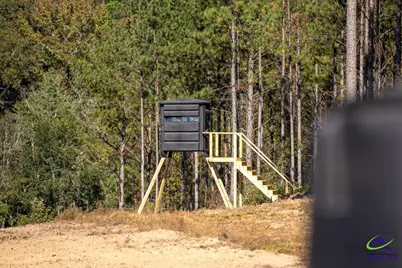 Ohp Dominy Road, Toomsboro, GA 31090 - Photo 6