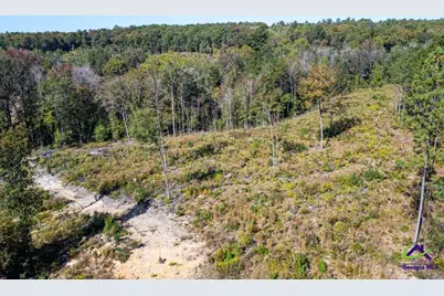 Ohp Dominy Road, Toomsboro, GA 31090 - Photo 12