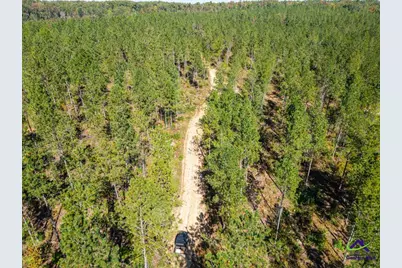 Ohp Dominy Road, Toomsboro, GA 31090 - Photo 18