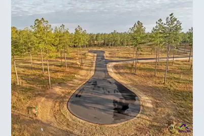 31 Evergreen Drive, Cochran, GA 31014 - Photo 4