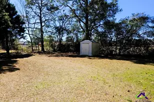 30 Mitchell St, Hawkinsville, GA 31036 - Photo 6