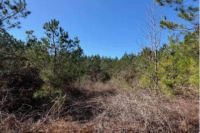 0 Rock Springs Road, Glenwood, GA 30428 - Photo 8