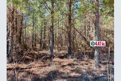 0 Rock Springs Road, Glenwood, GA 30428 - Photo 1