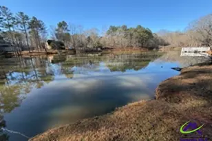 309 High Falls Rd, Jackson, GA 30233 - Photo 4