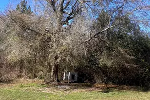 141 Shady Oaks Rd, Eastman, GA 31023 - Photo 24