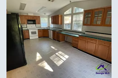 190 Dan Sparrow Road, Hawkinsville, GA 31036 - Photo 6