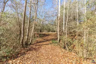 126 Pineworth Pointe Dr, Macon, GA 31216 - Photo 48