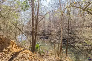 126 Pineworth Pointe Dr, Macon, GA 31216 - Photo 50