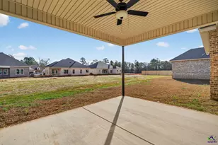 115 Black Birch Ln, Kathleen, GA 31047 - Photo 46