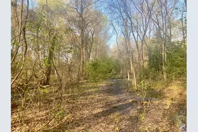 Moseley Road, Byron, GA 31008 - Photo 8