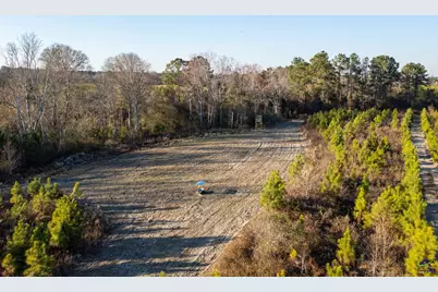 733 Chester-Cochran Highway, Chester, GA 31012 - Photo 34