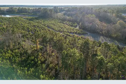 733 Chester-Cochran Highway, Chester, GA 31012 - Photo 32